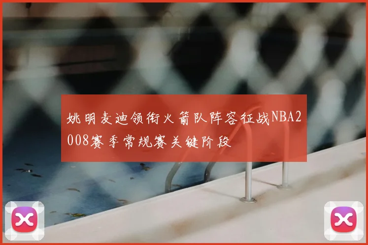 姚明麦迪领衔火箭队阵容征战NBA2008赛季常规赛关键阶段