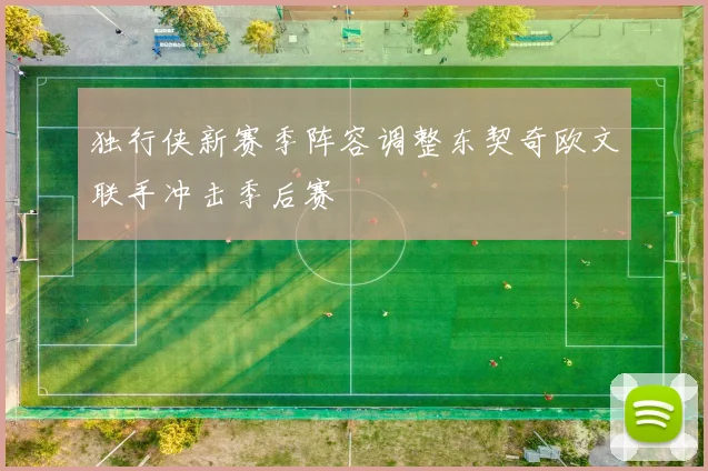 独行侠新赛季阵容调整东契奇欧文联手冲击季后赛